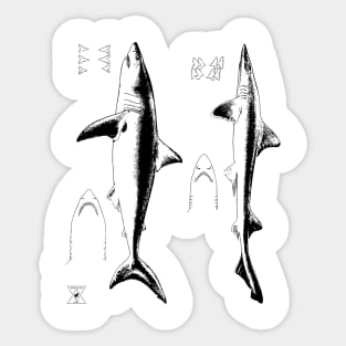 Great White Shark & Mako | Ocean Sea Animal Science Sticker